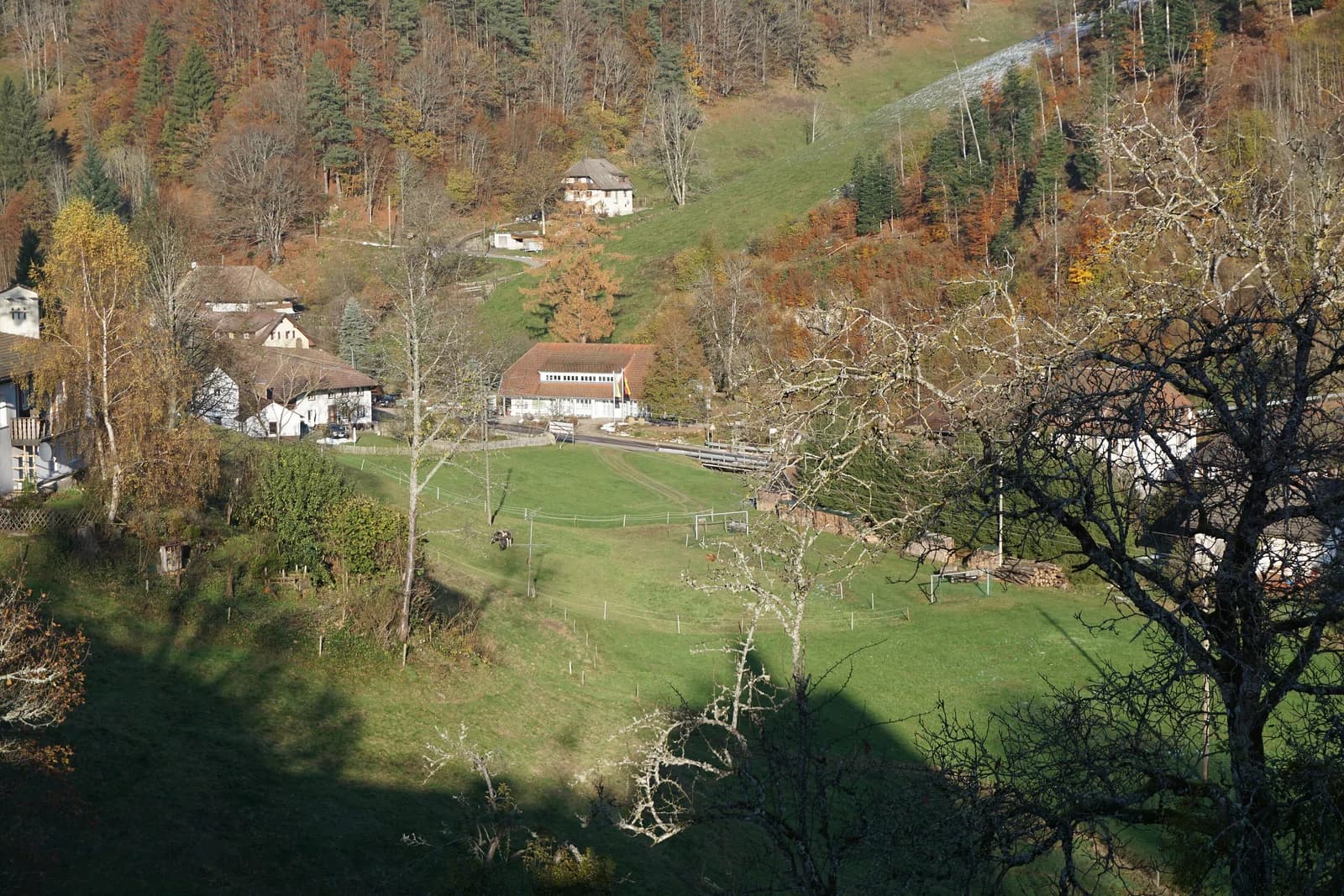 Bürchau