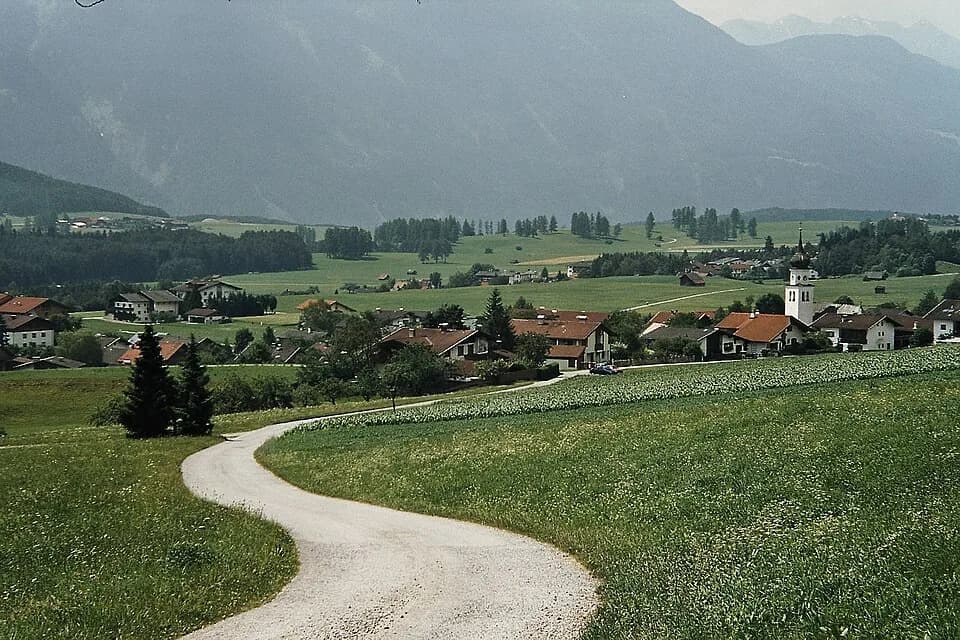 Wildermieming