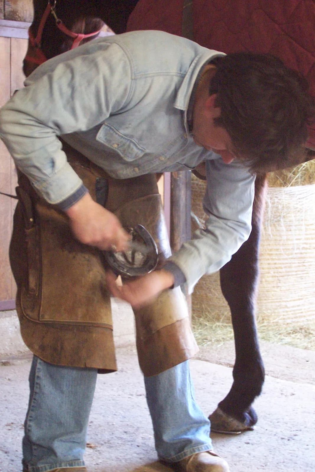 farrier