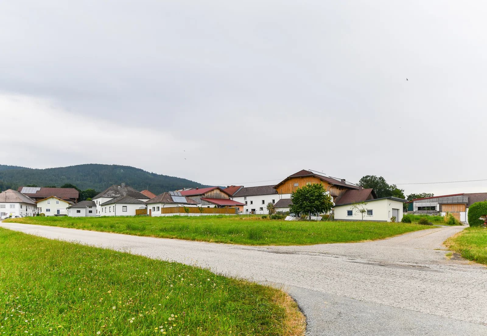 Schindlau