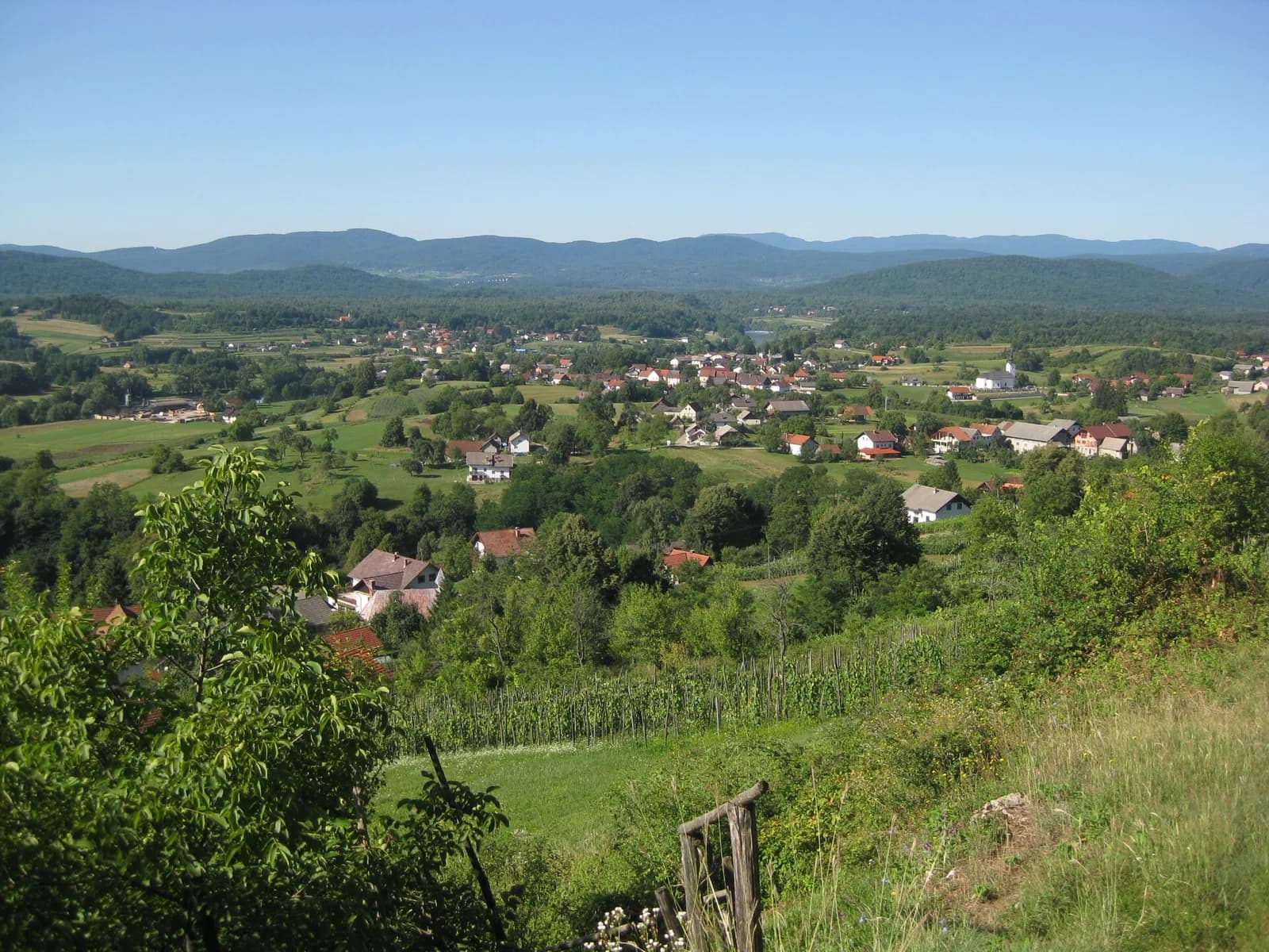 Vinica