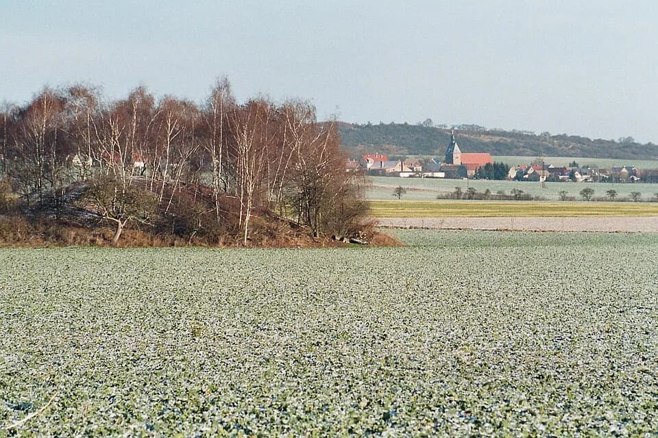 Holdenstedt