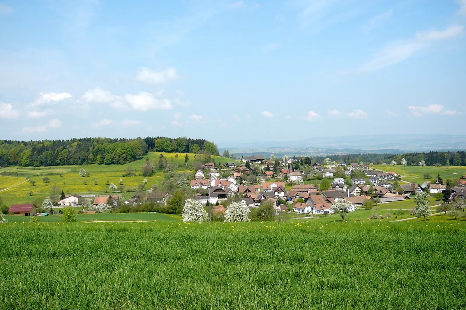 Braunau