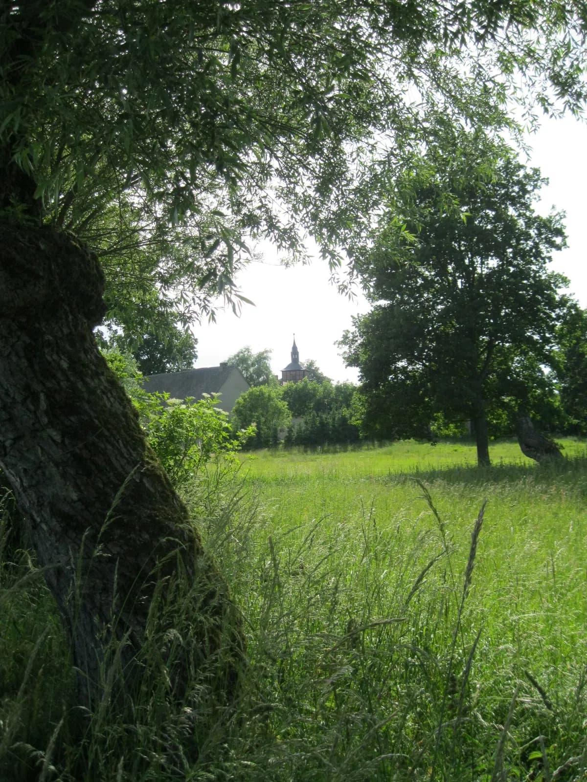 Pollitz