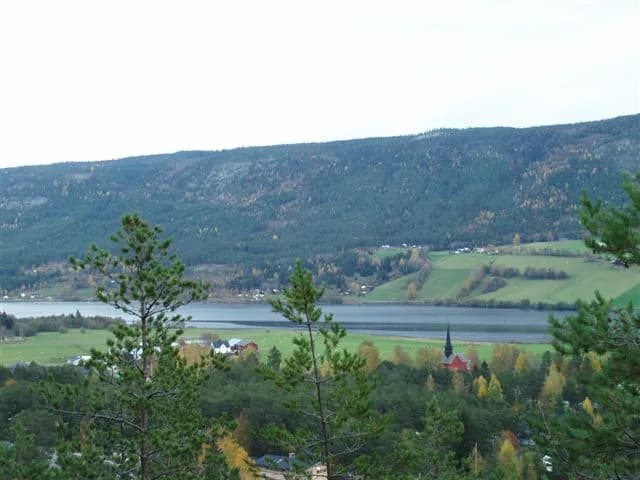 Ytre Rendal Municipality