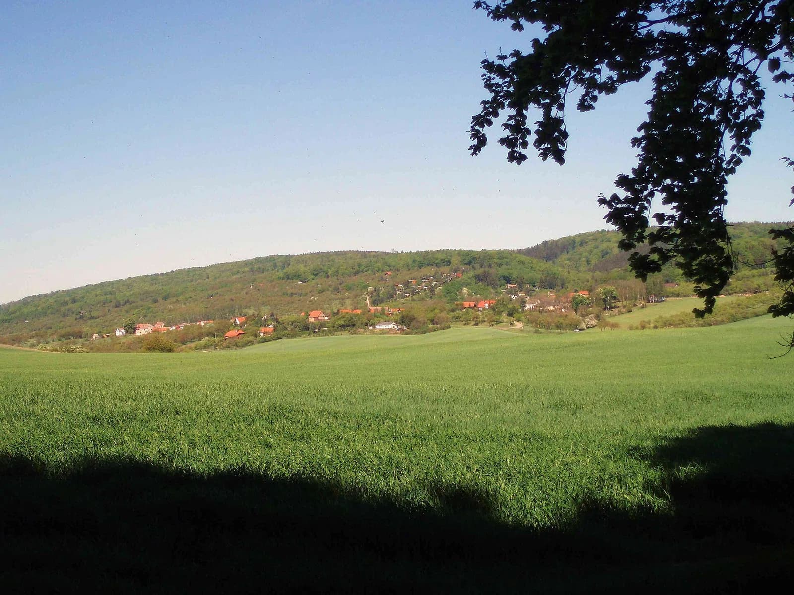Breitungen