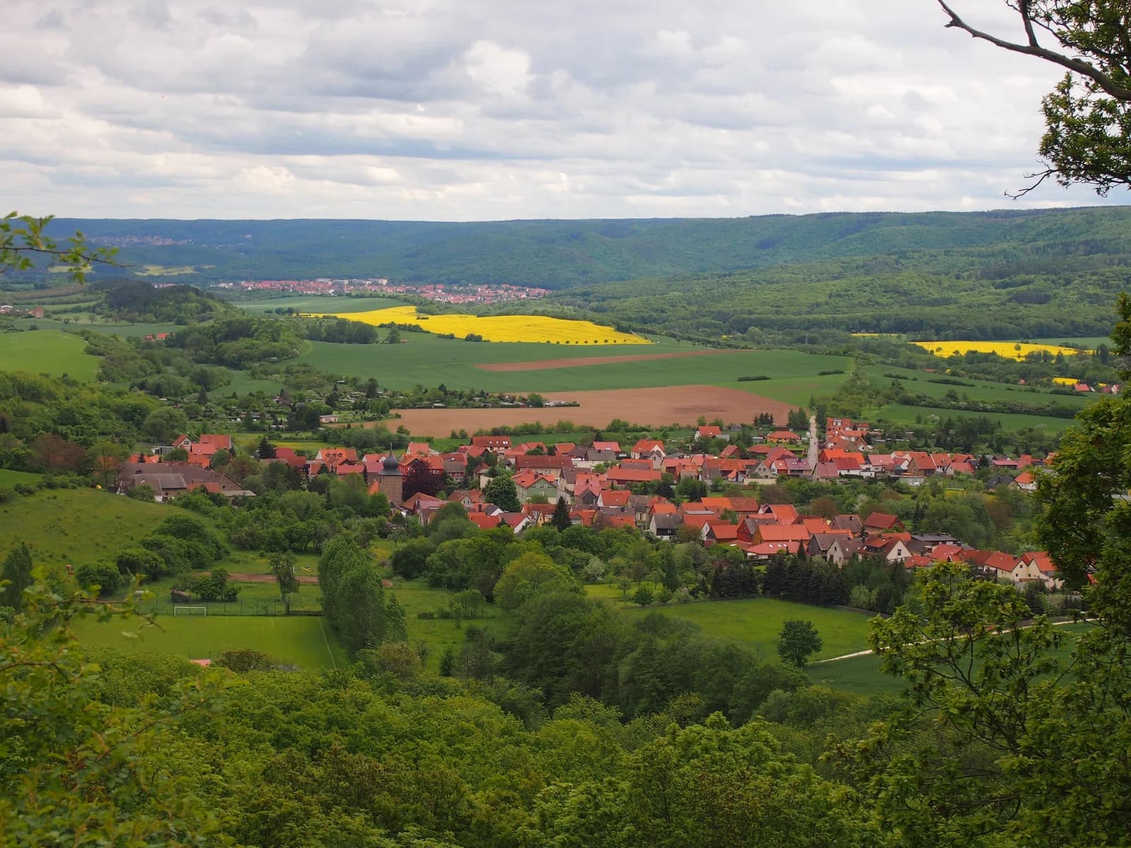Cattenstedt