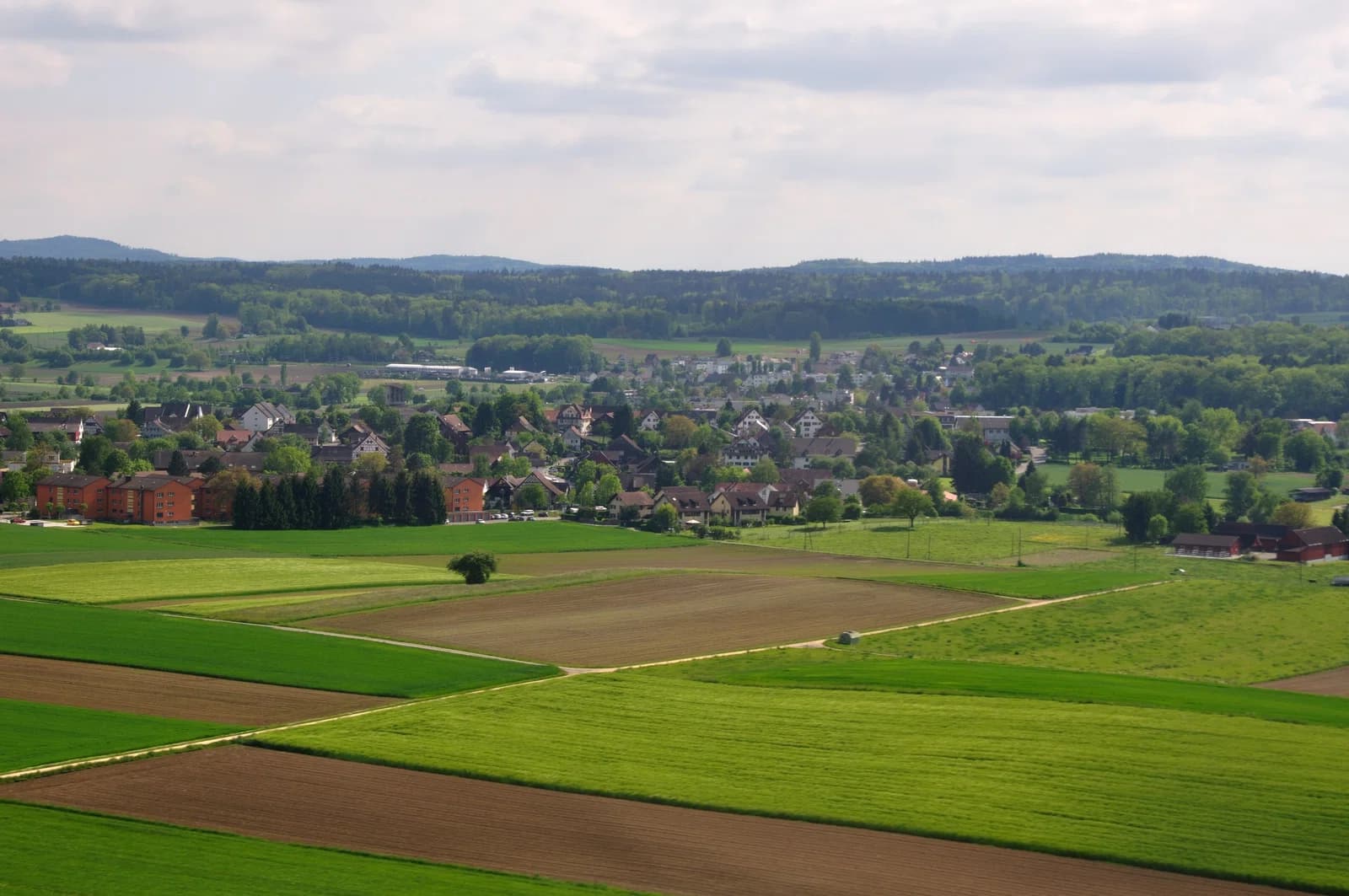 Oberglatt ZH