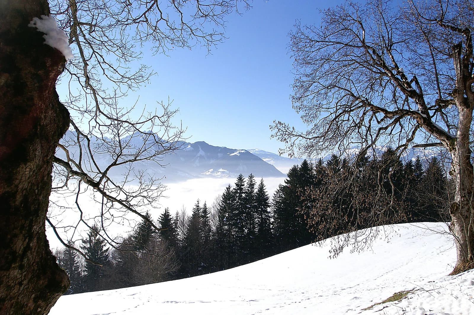 Dünserberg
