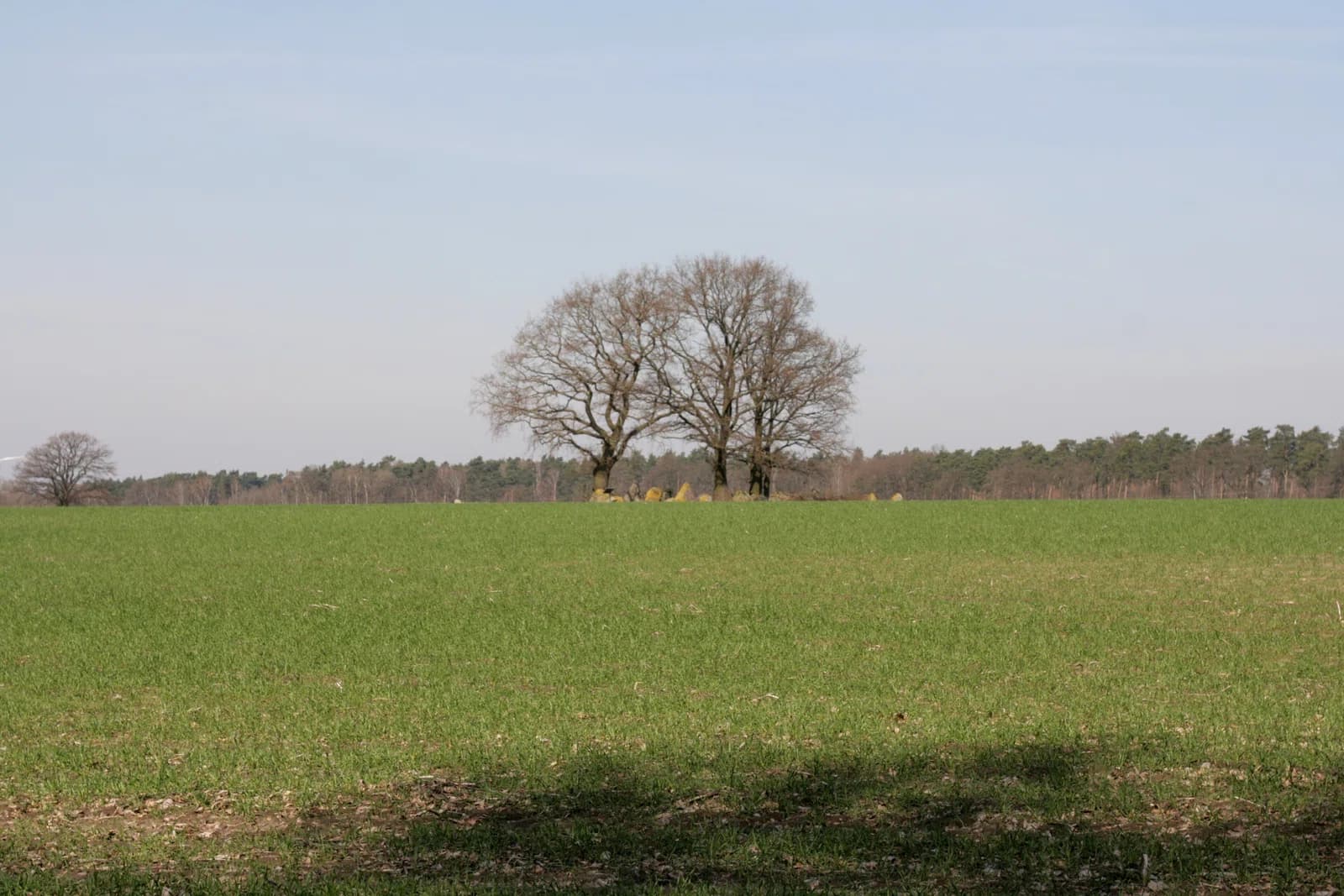 Wrestedt