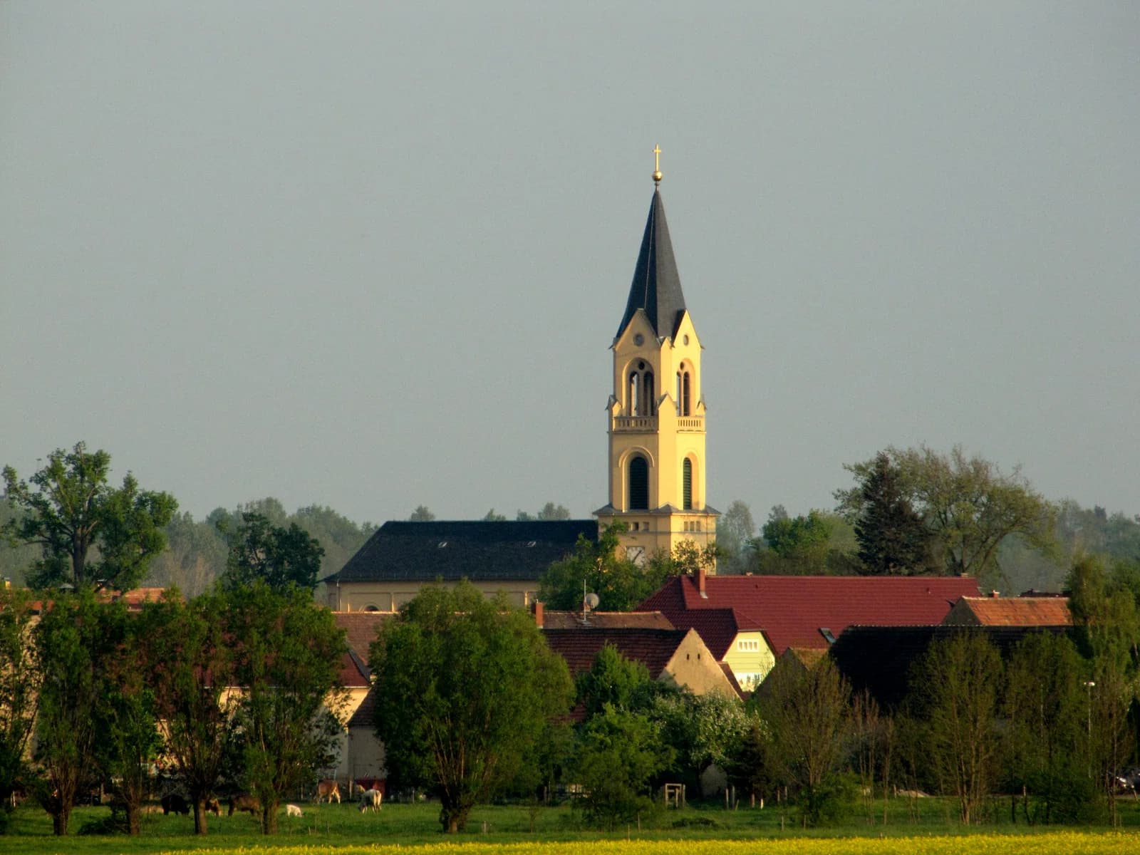 Wildenhain