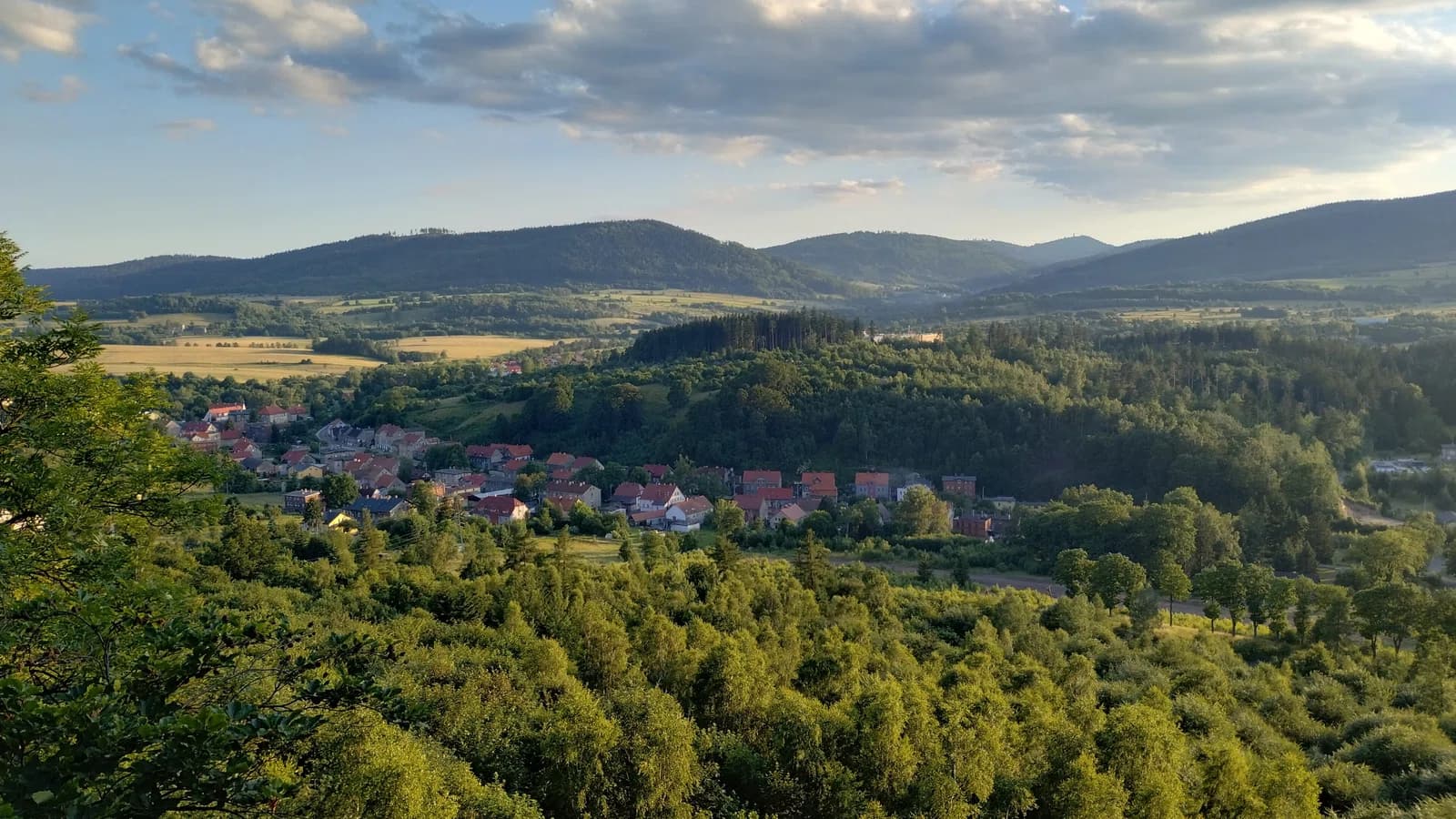 Głuszyca