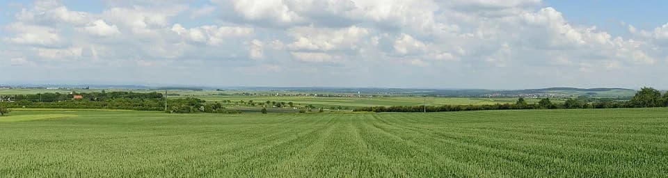 Wetterau
