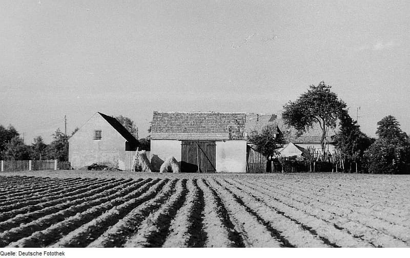 Mücka