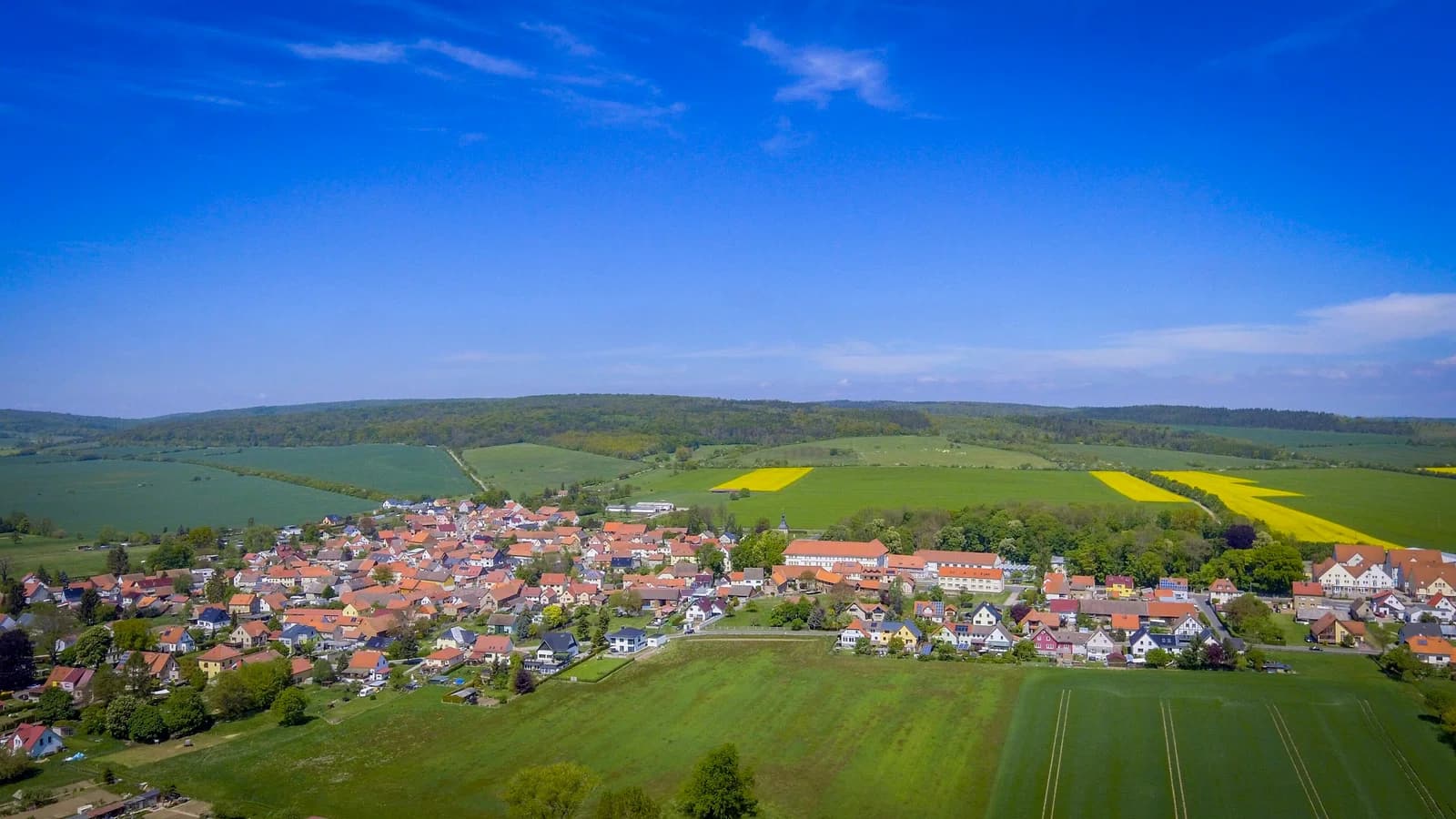 Behringen