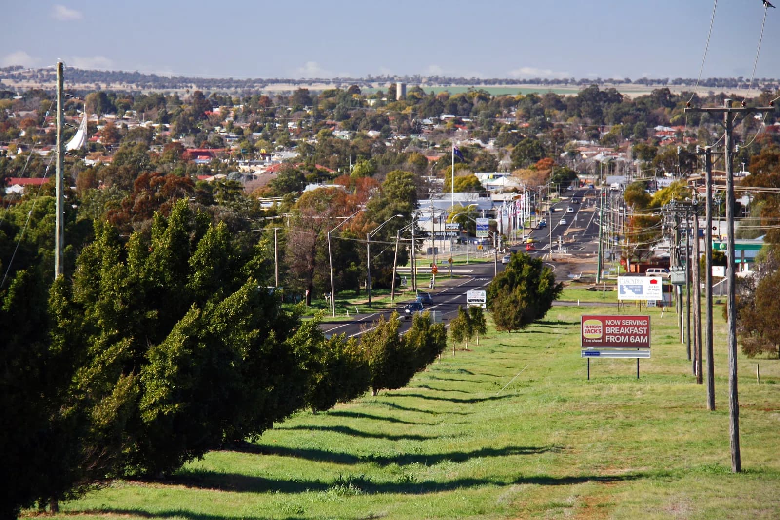 Dubbo