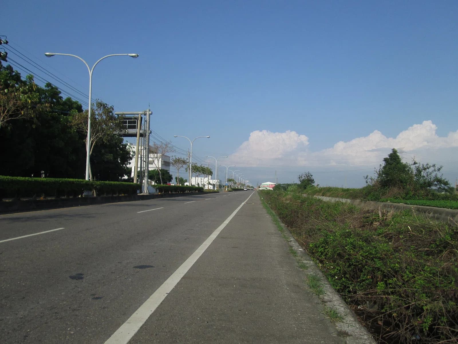 Baozhong