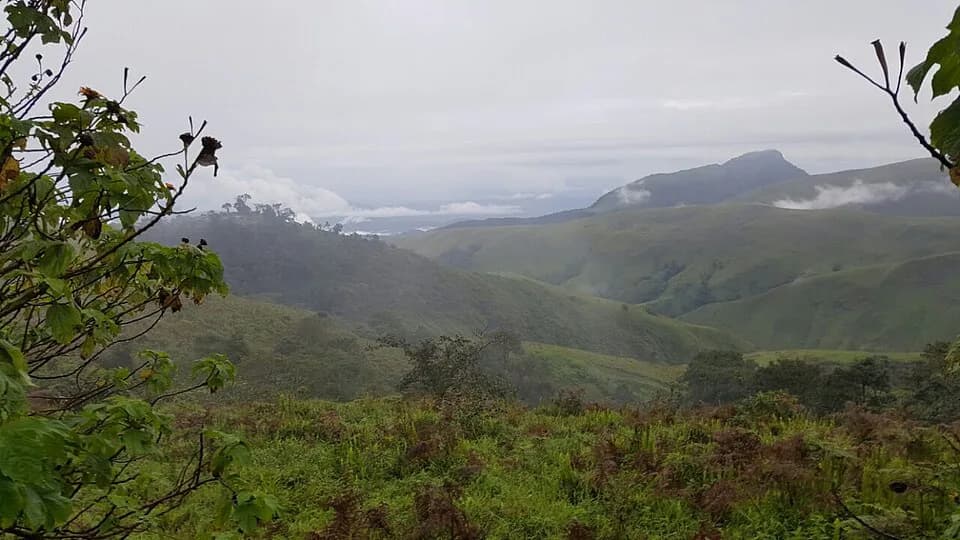 Obudu