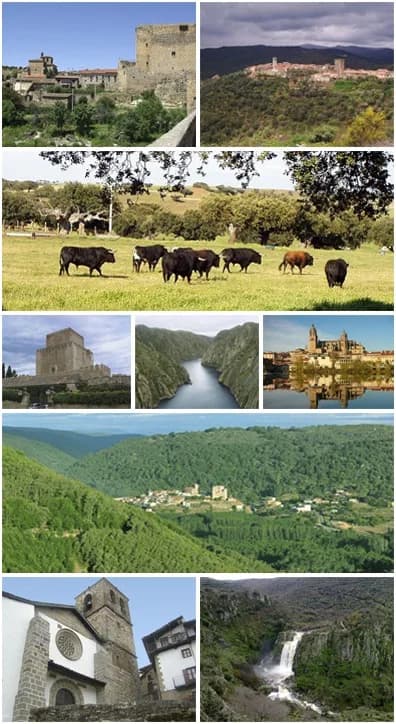 Province of Salamanca