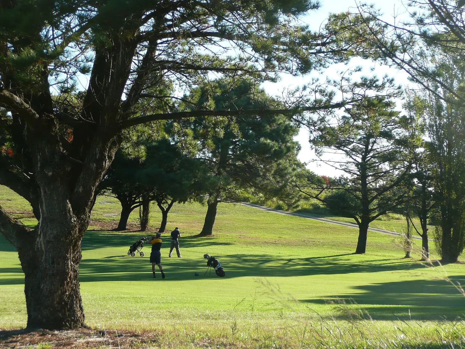 Pagewood