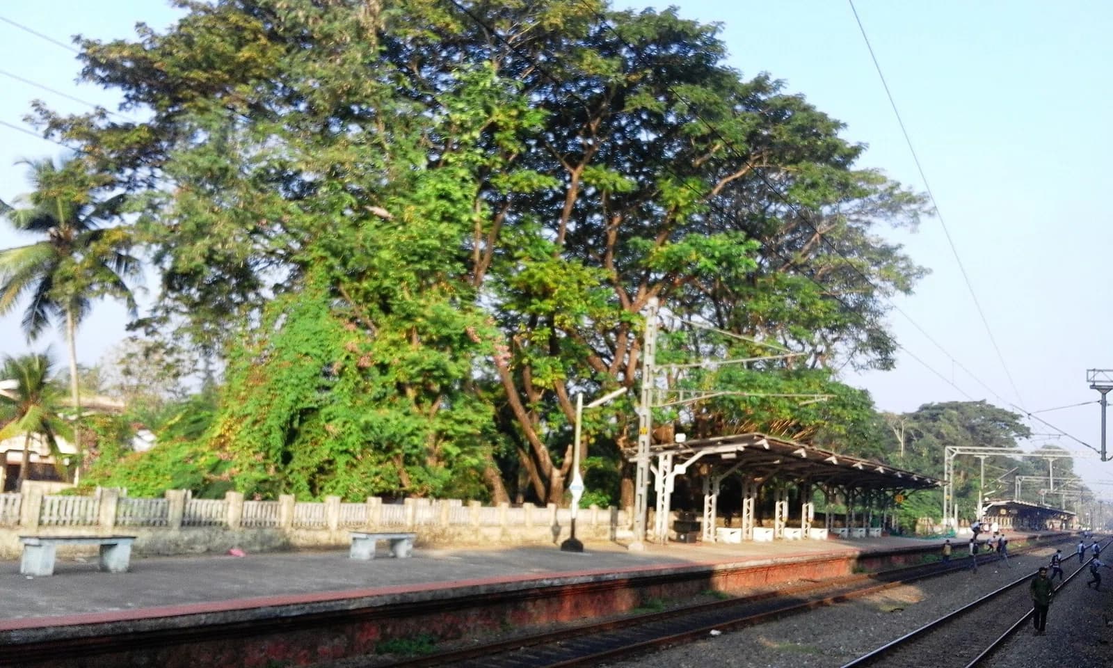 Parappanangadi Municipality