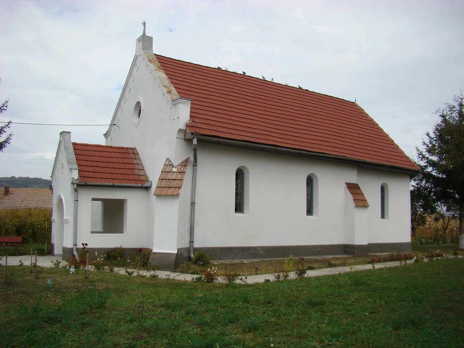 Cipău