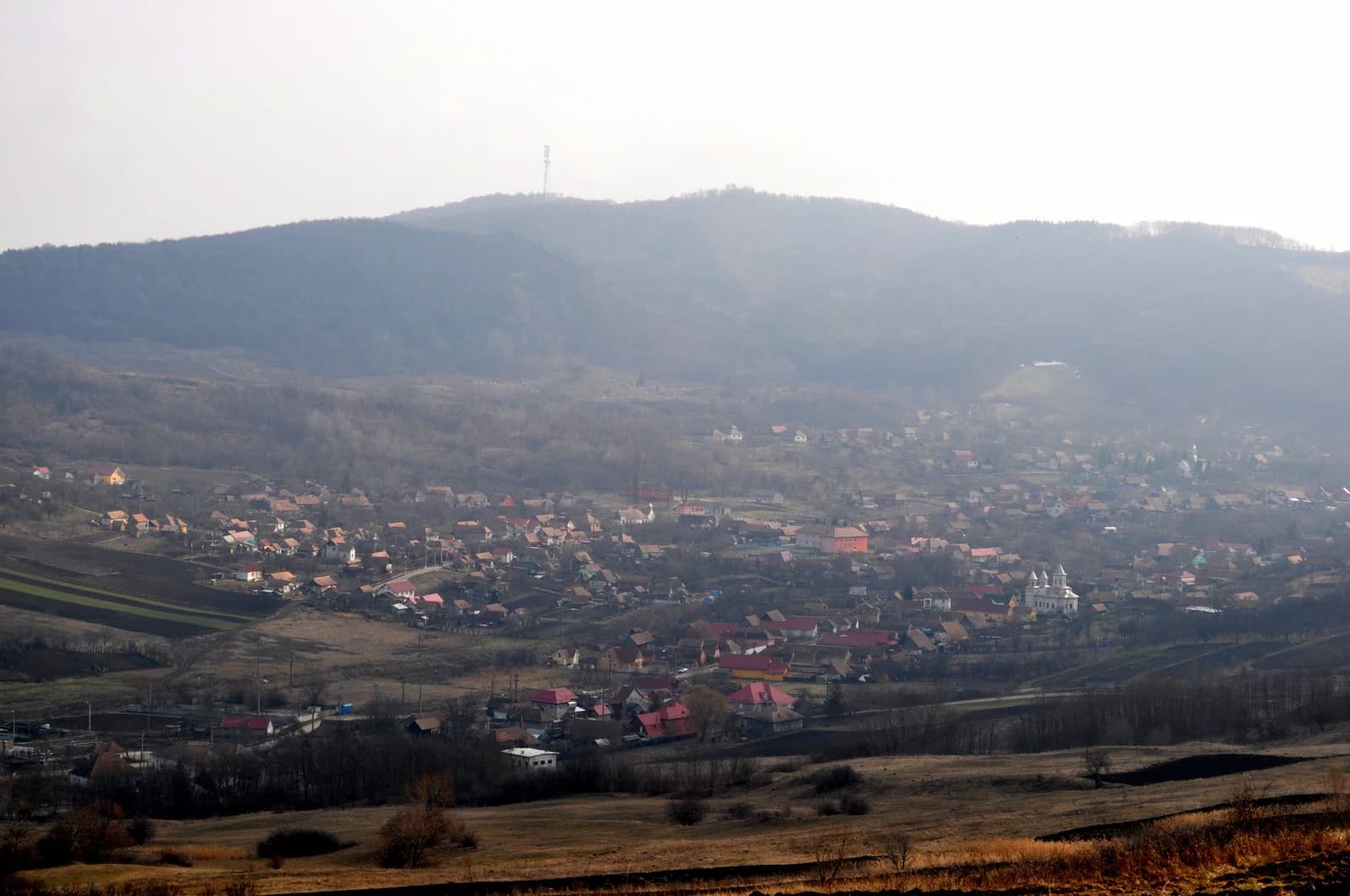 Deleni