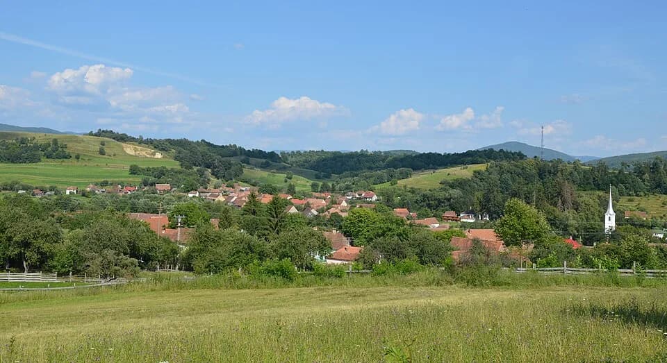Bățanii Mici