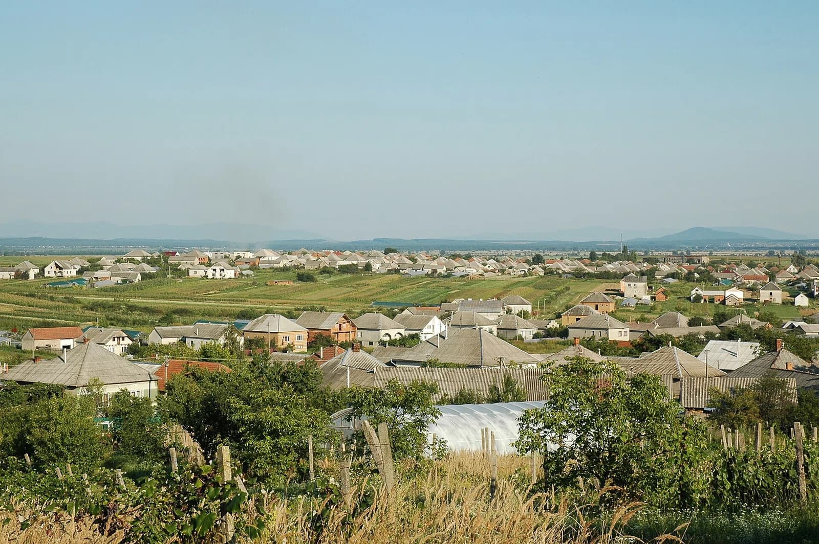 Dertsen