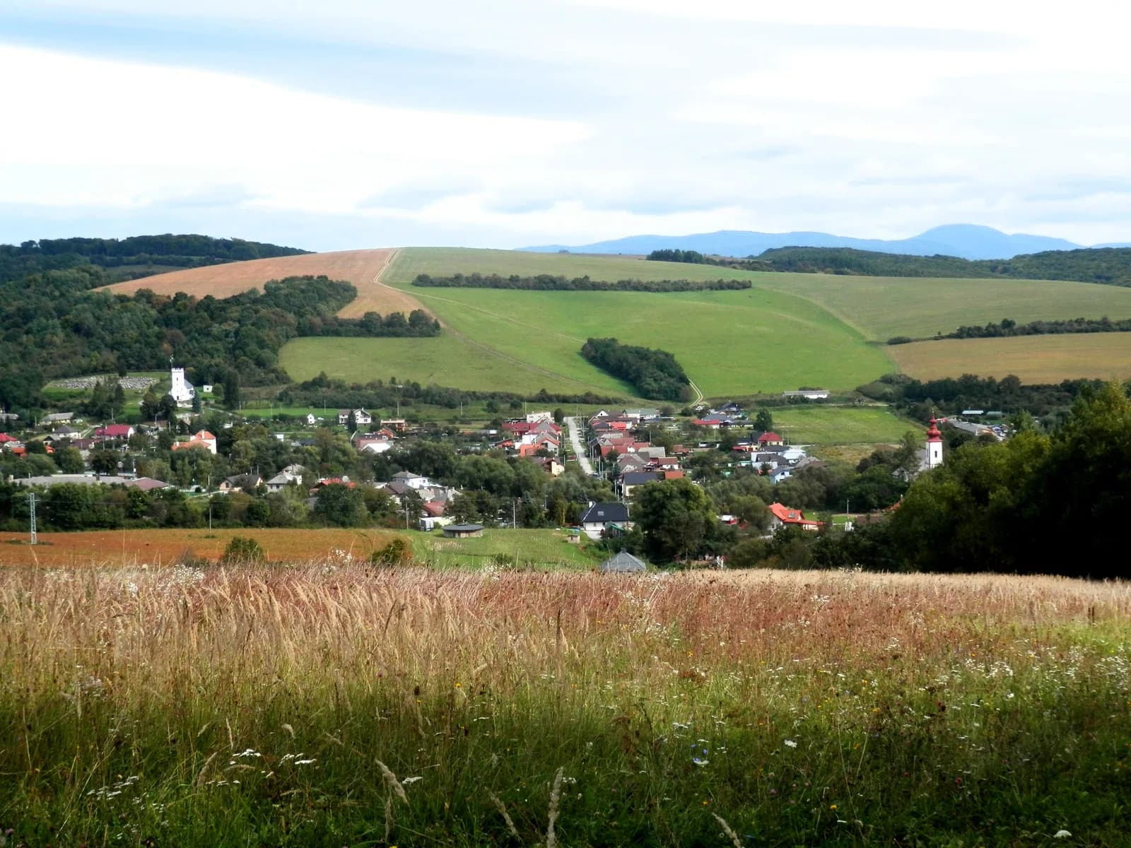 Radatice