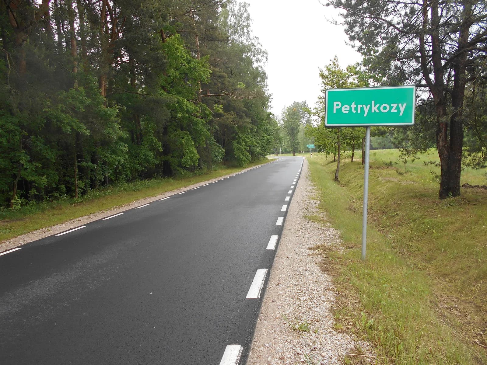 Petrykozy