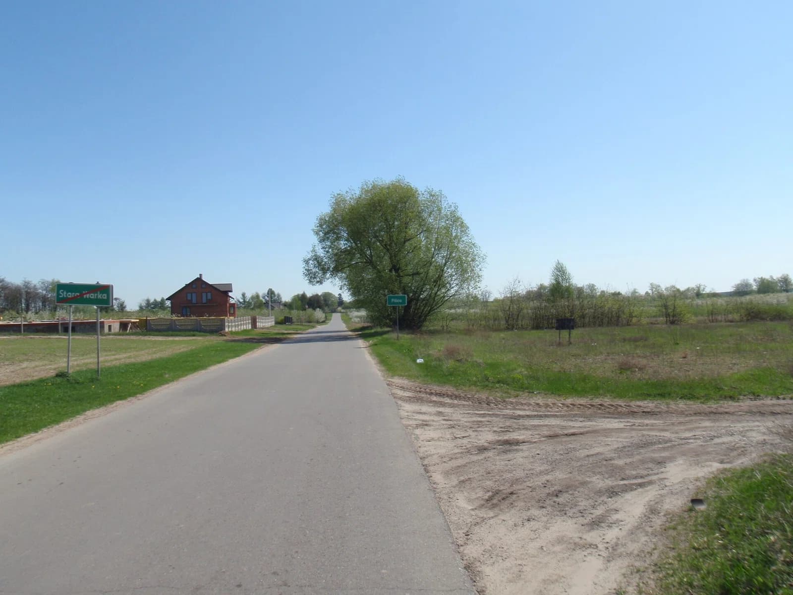 Pilica (Warka)
