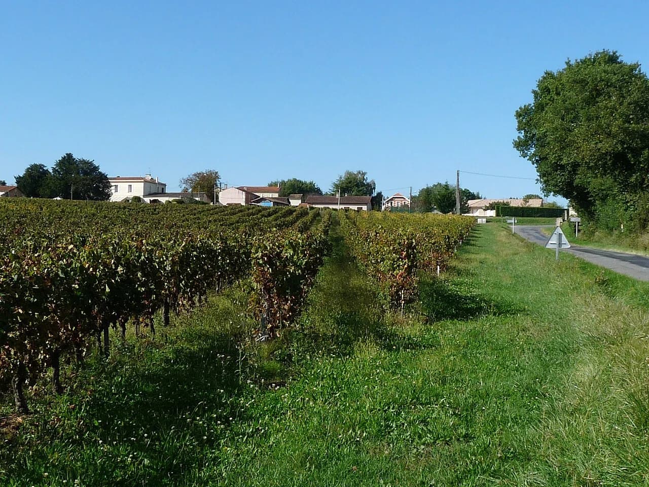 Saint-Ciers-de-Canesse
