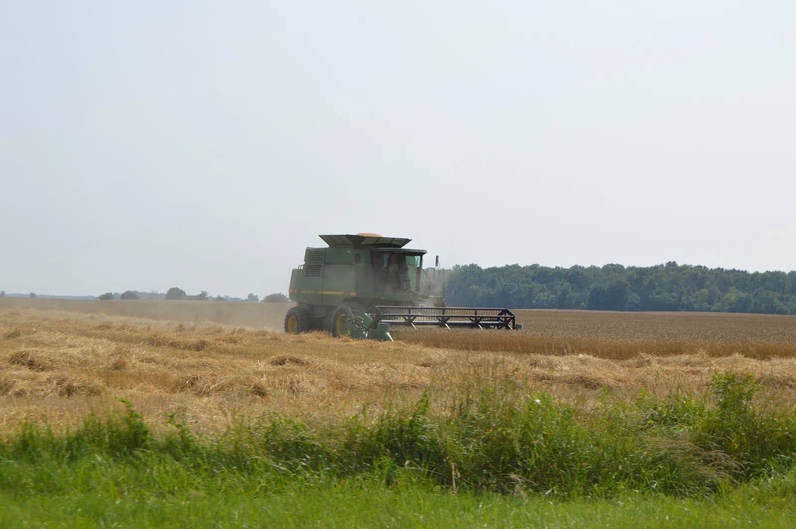 Pleasant Township