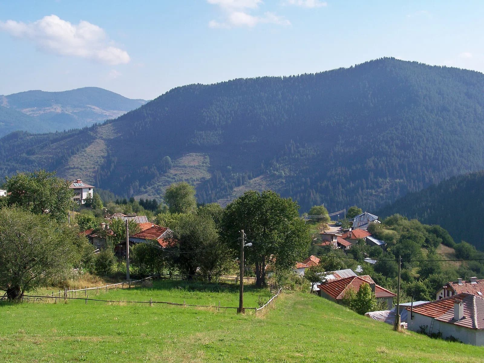 Gela