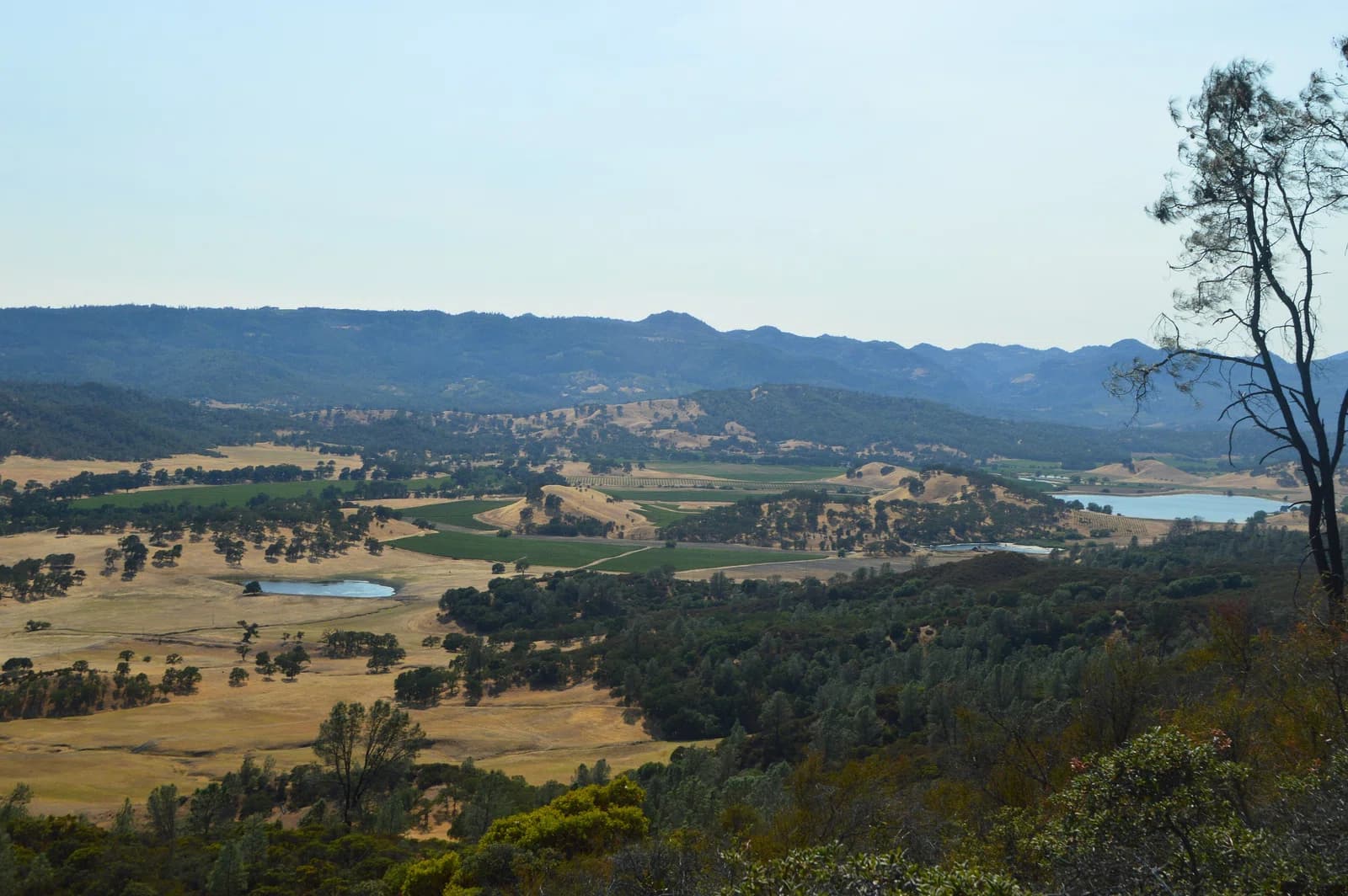 Pope Valley