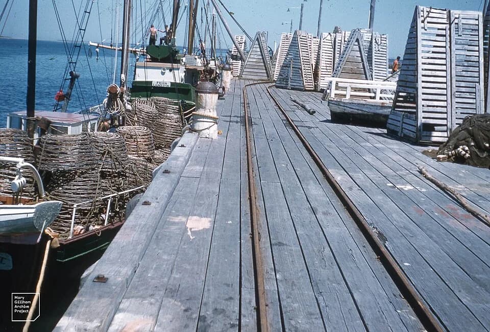 Port Welshpool