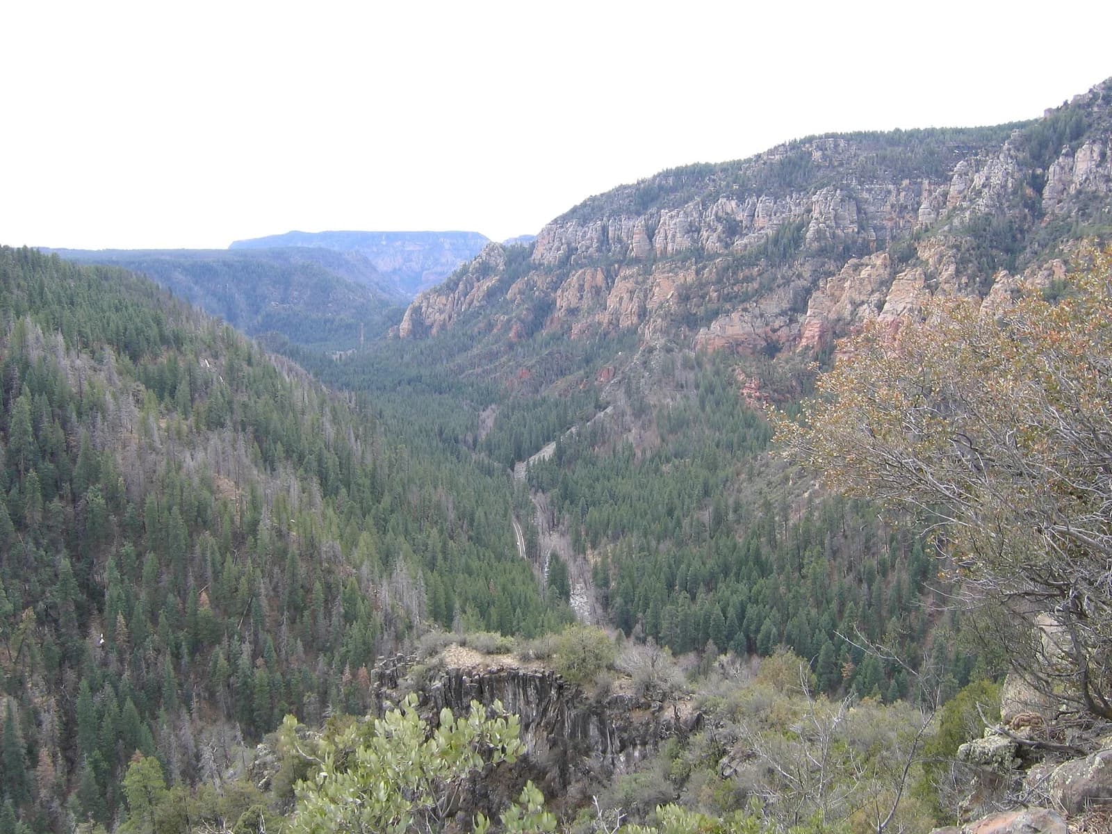 Oak Creek Canyon