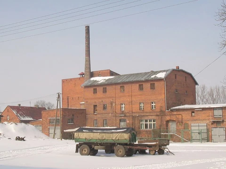 Pszeniczna