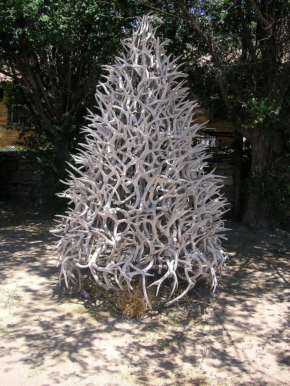 Quemado