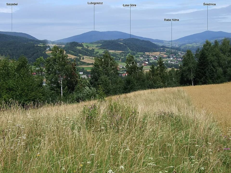 Raba Niżna