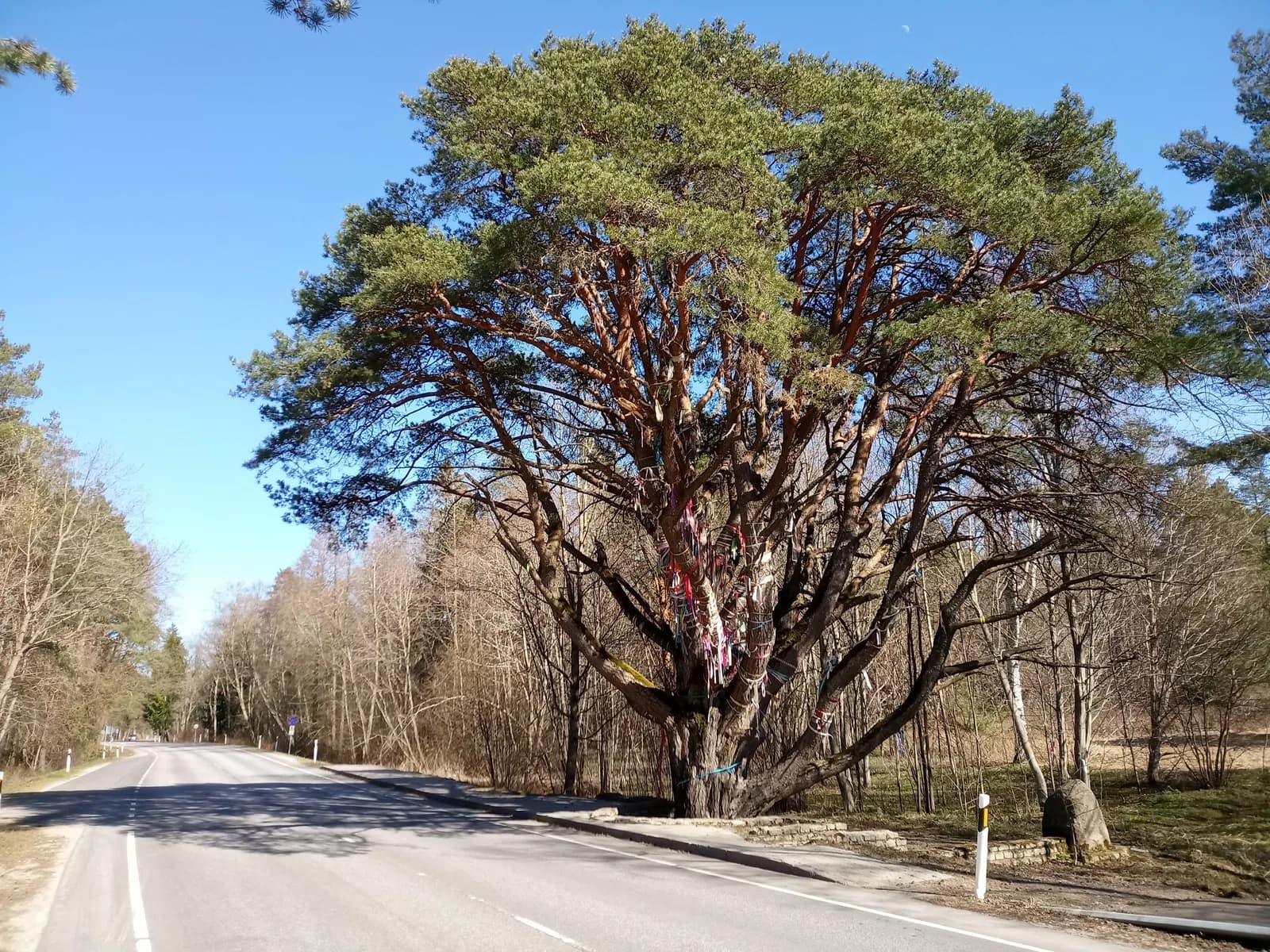 Meriküla