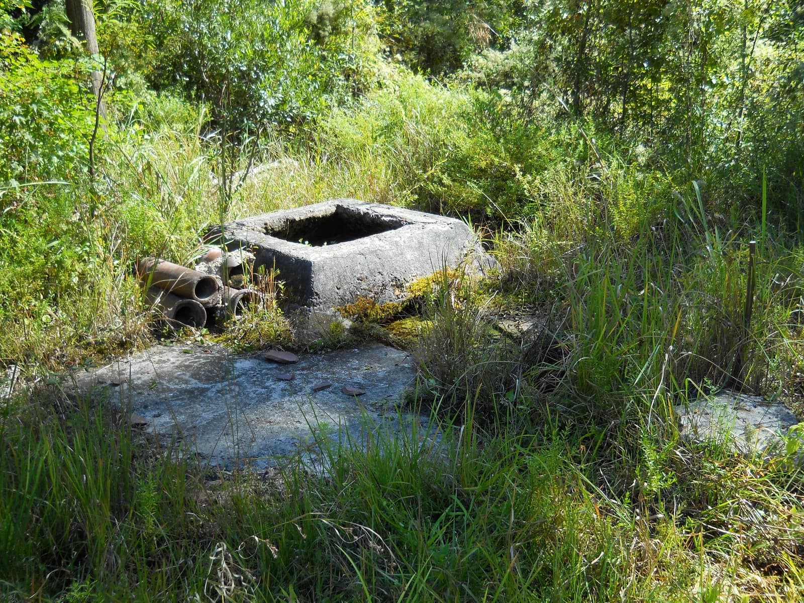 Ramsey Springs