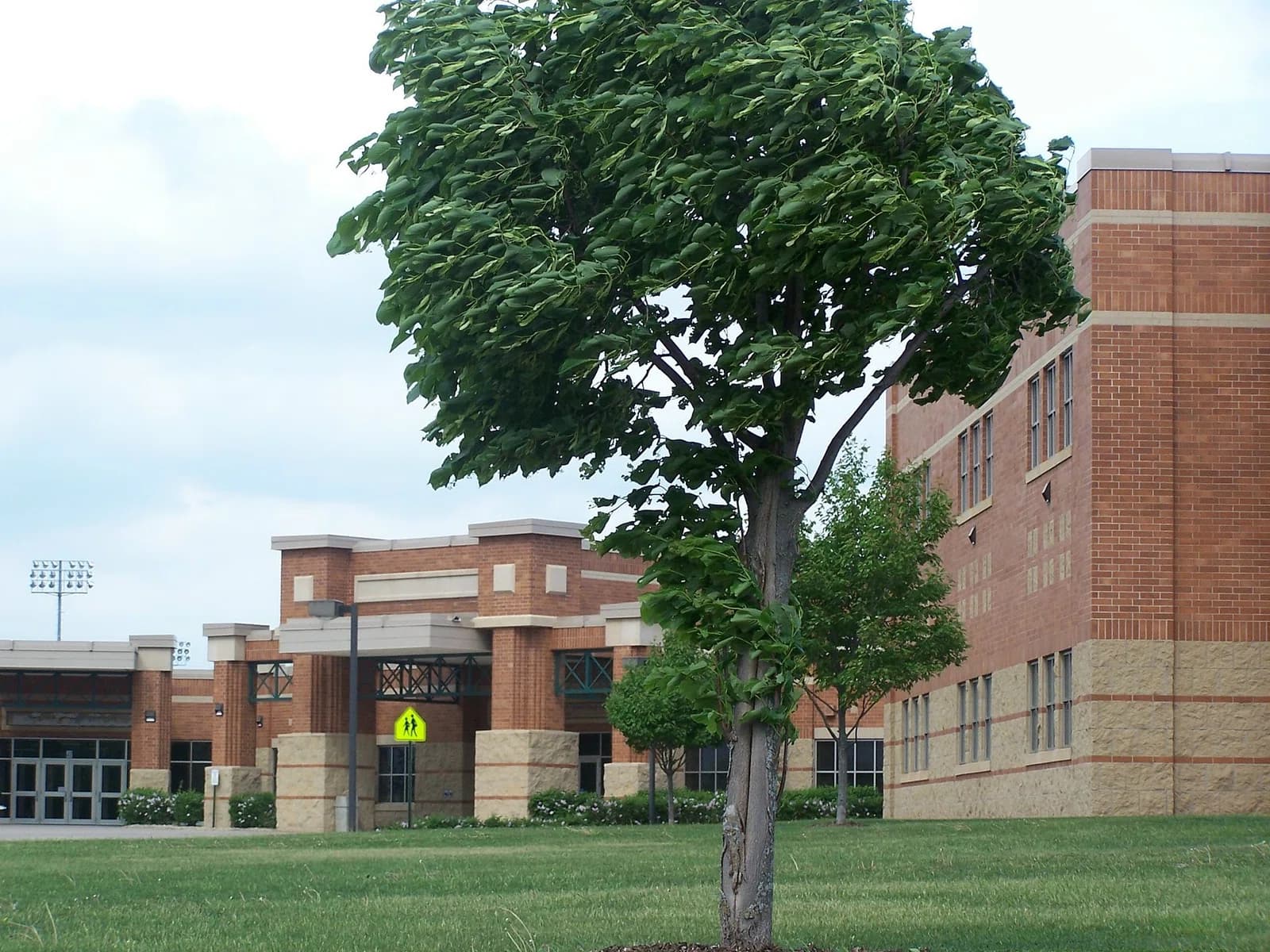 Red Wing High School
