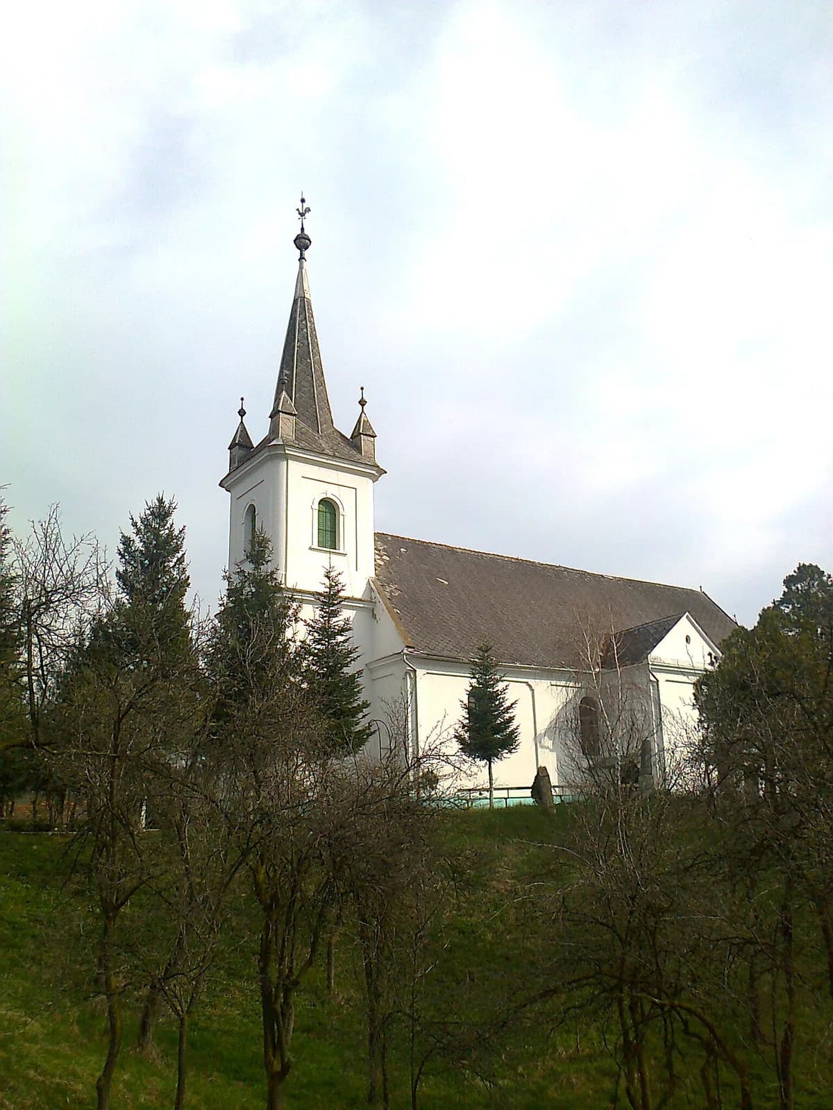 Zăuan