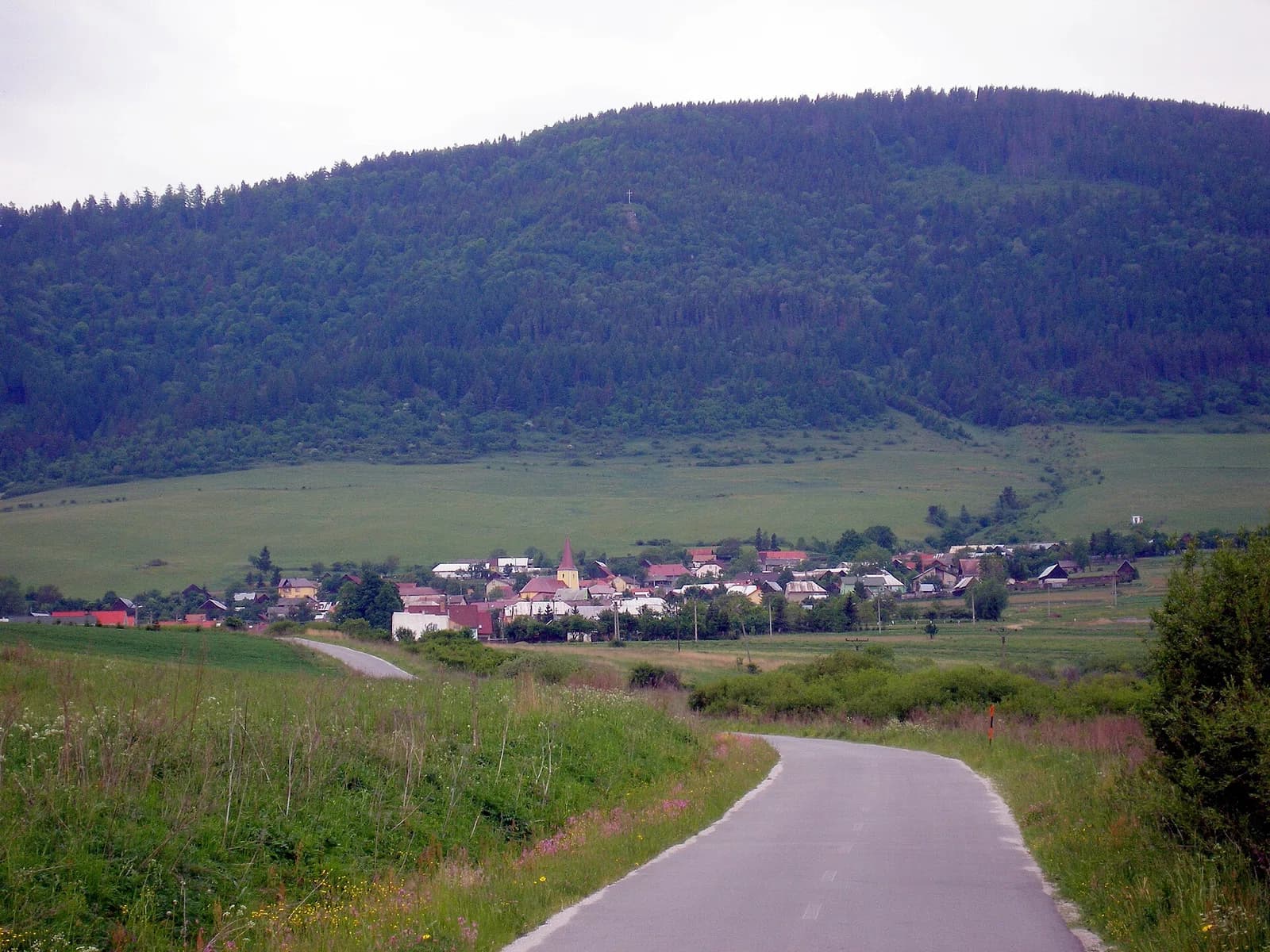 Poloma