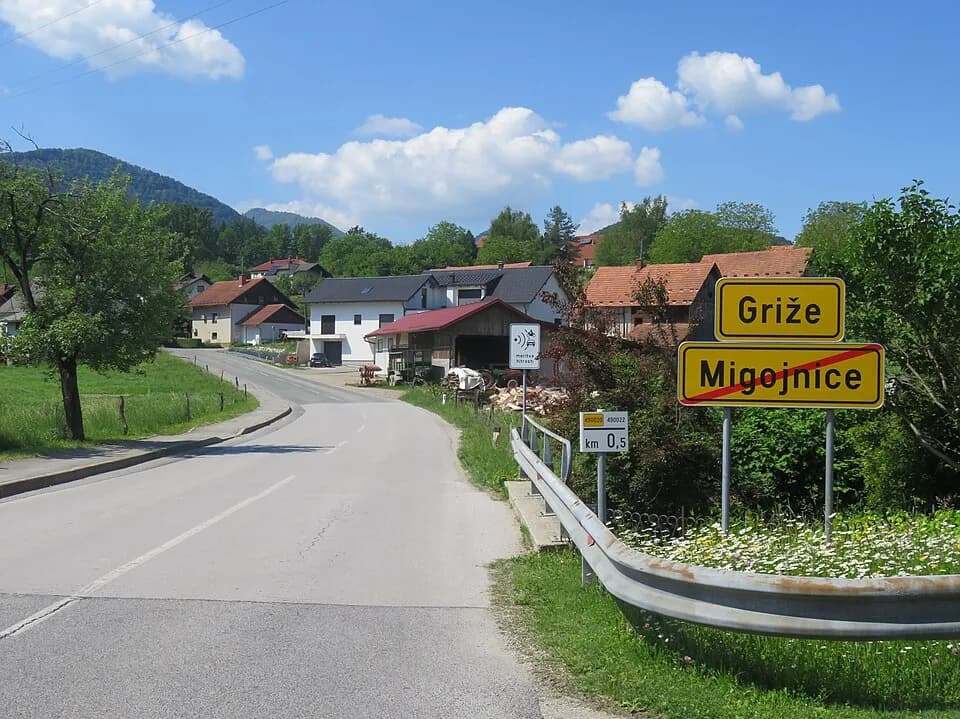 Griže
