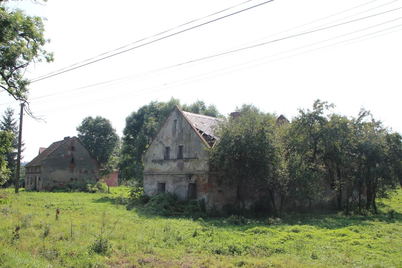 Rogów