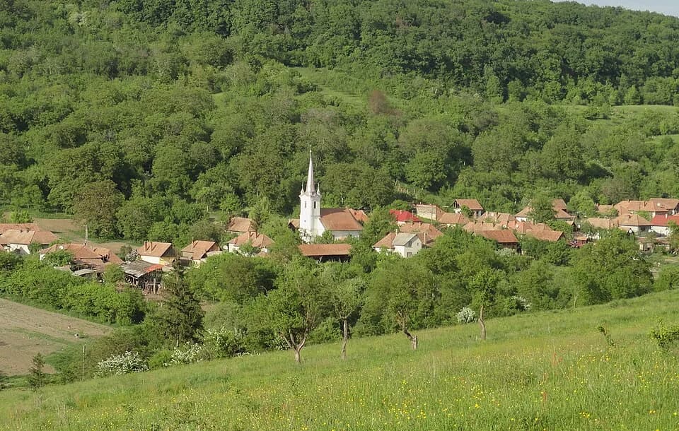 Budiu Mic