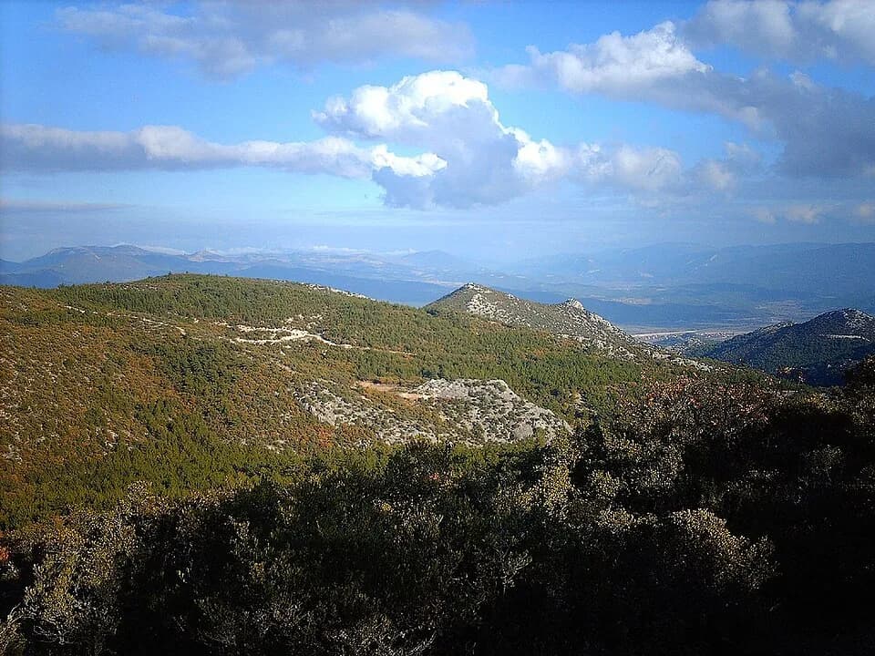 Osmaneli
